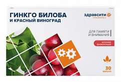 ЗДРАВСИТИ Комплекс экстрактов листьев крас. винограда и гинкго билоба капс. 300мг №30